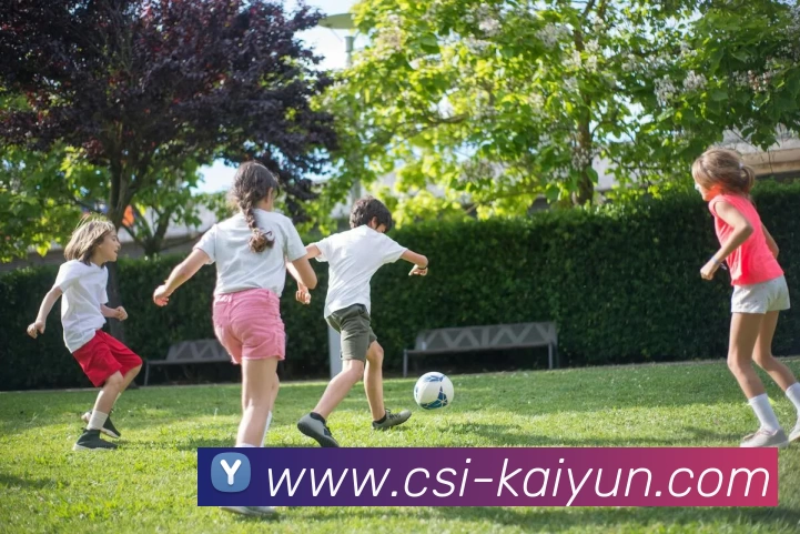 多媒体互动体验